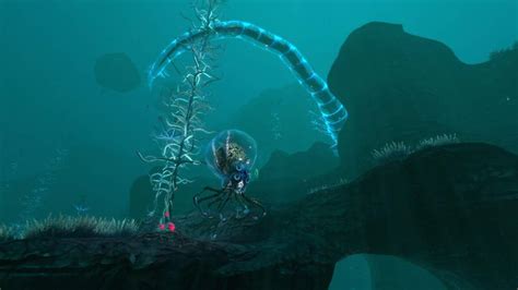 subnautica kelp forest|subnautica blood kelp zone location.